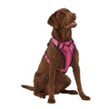 Neoprene Padded Dog Harness G972729