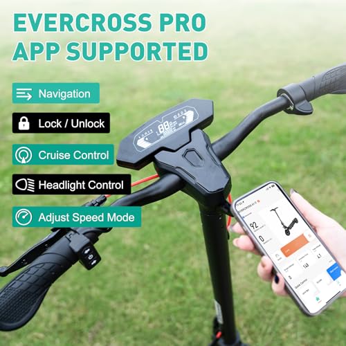 800W Electric Scooter with 10'' Honeycomb Solid Tires L6667