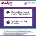 Bravecto Chews for Dogs 44-88 lbs Z4309