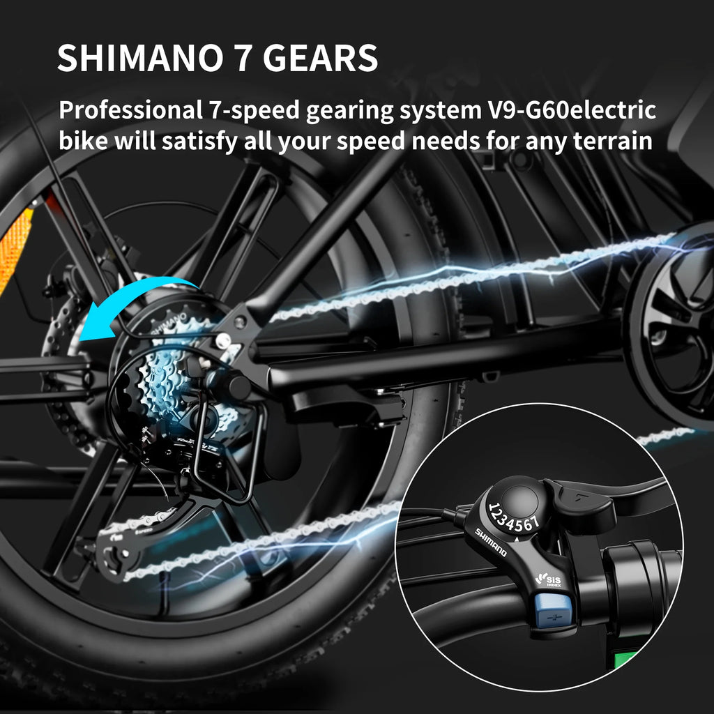 Electric Bike with 48V20Ah Removable Battery, 20" Fat Tire, Dual Shock Absorber L1208