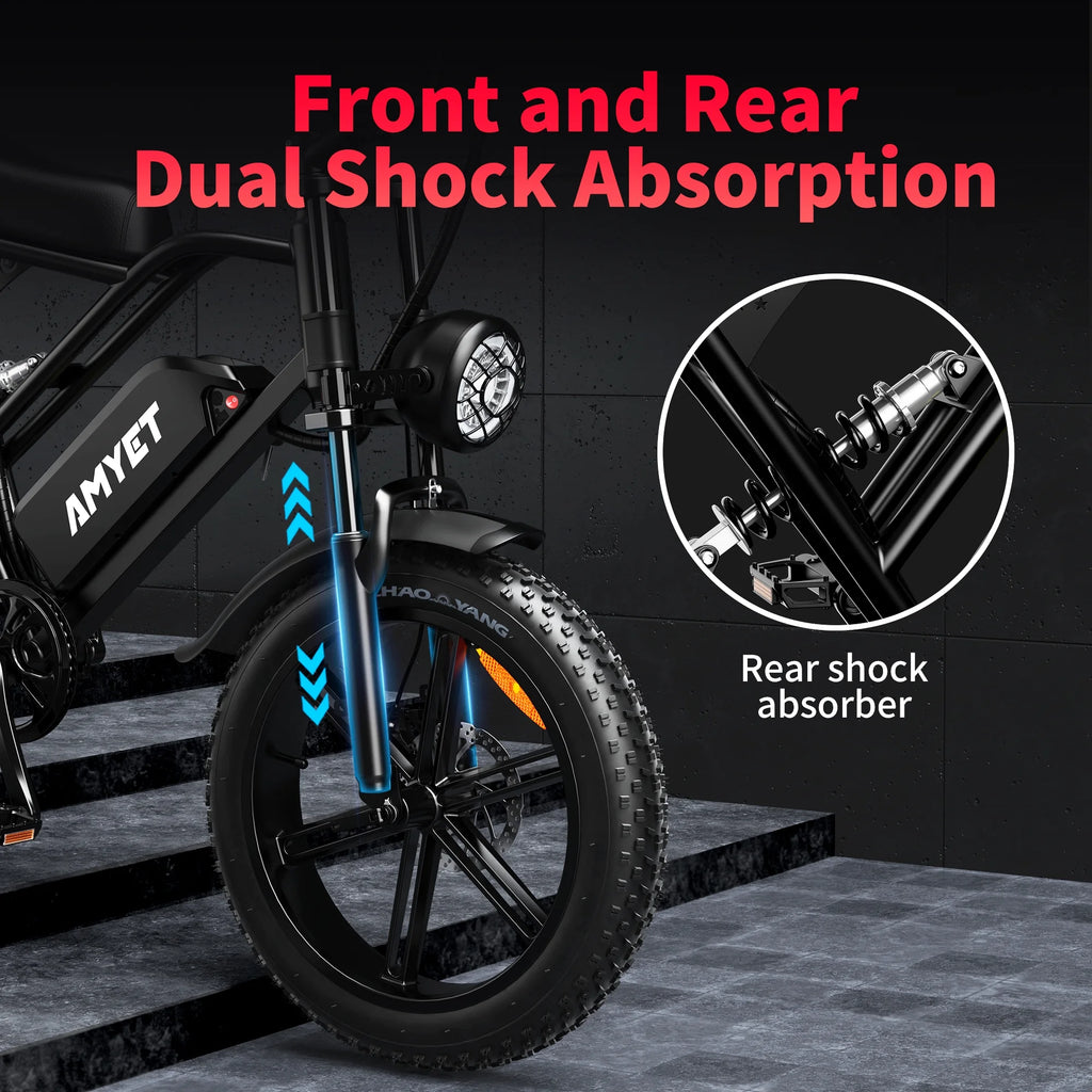 Electric Bike with 48V20Ah Removable Battery, 20" Fat Tire, Dual Shock Absorber L1208