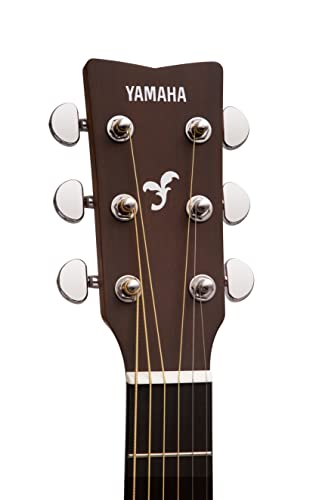 Natural Solid Top Acoustic Guitar P7501