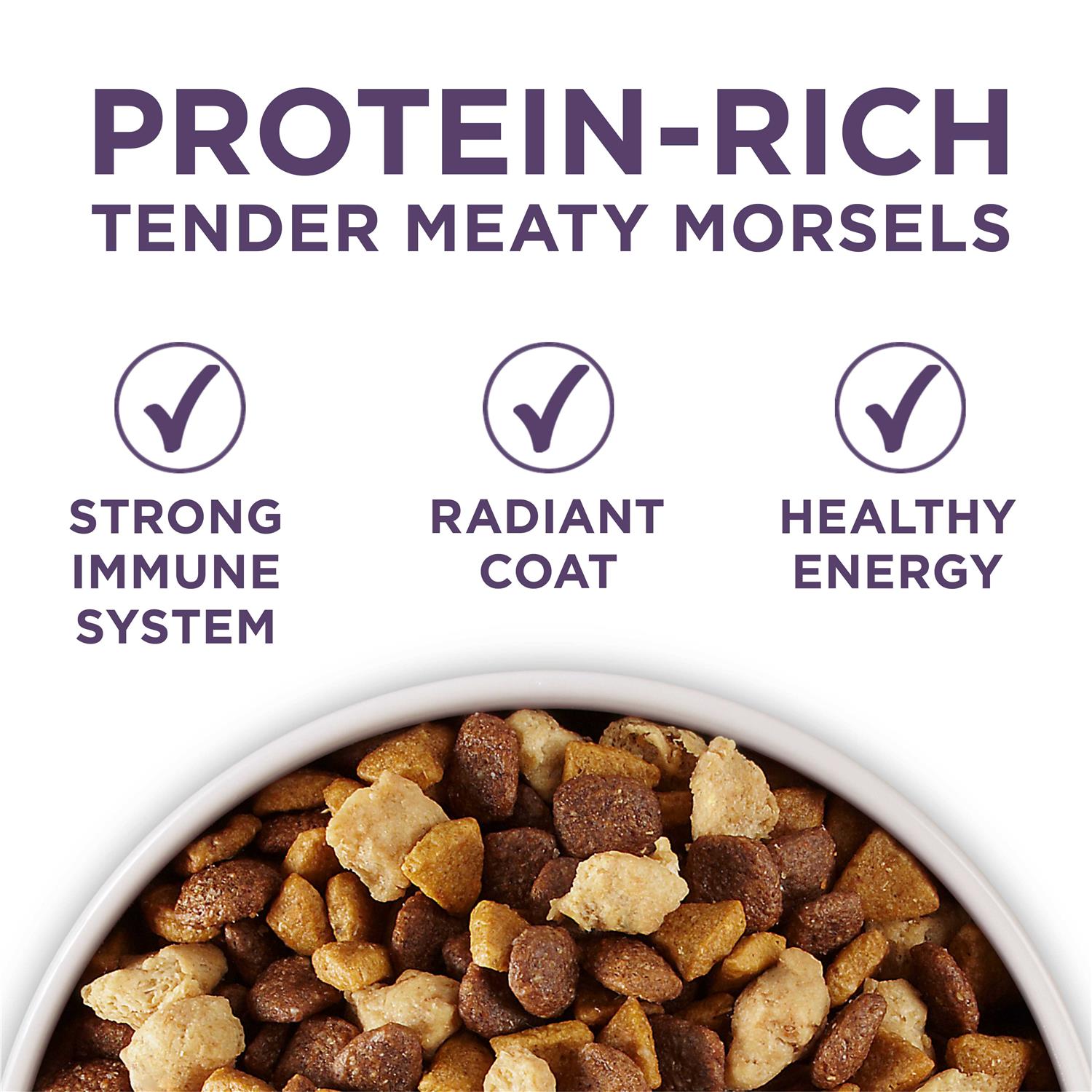 Adult Dry Dog Food Senior L712