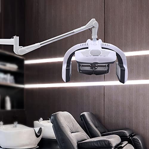 Wall Mounted Hair Dryer with Timer 110V 1250W V5517