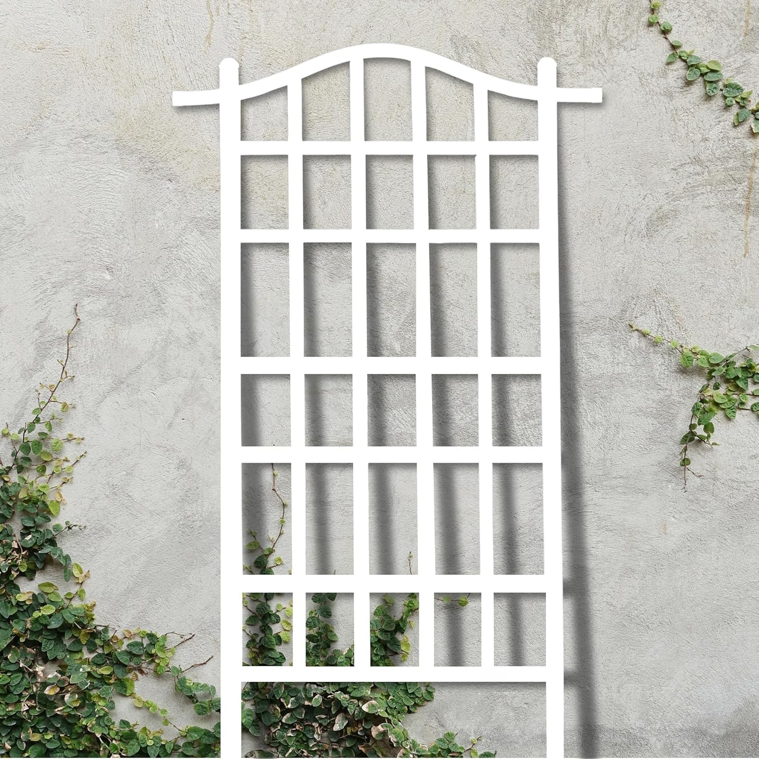 White 35 x 75 Inch Garden Trellis I93400