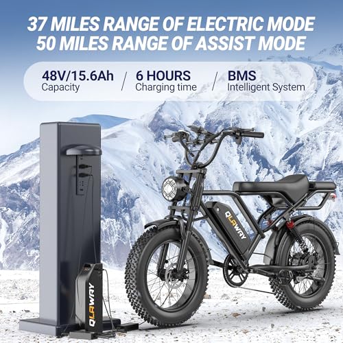 Electric Dirt Bike 750w 20" Full Suspension 48V 15.6AH Removable Battery 2 Seater Z21724