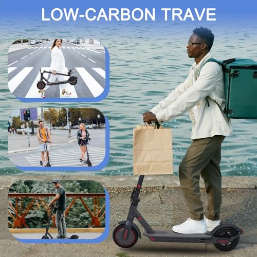 350W Electric Scooter with 8.5" Solid Tires T368641