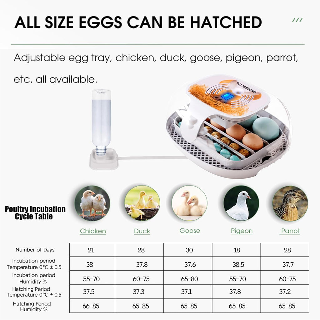 16-35 Eggs Incubator with Automatic Egg Turner A733