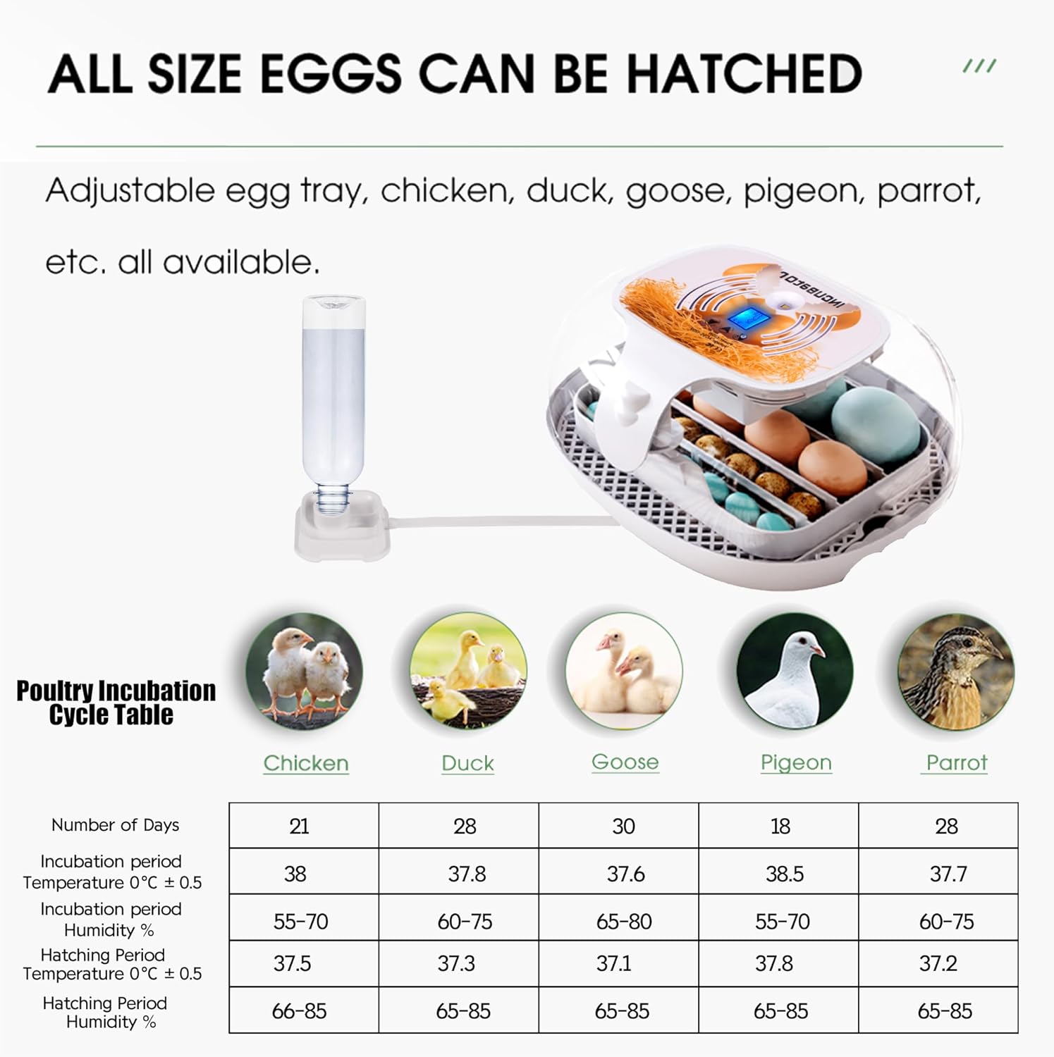 16-35 Eggs Incubator with Automatic Egg Turner A733