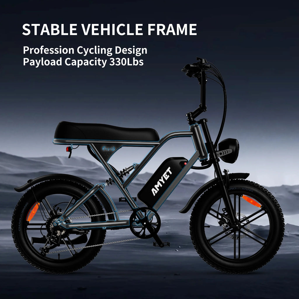 Electric Bike with 48V20Ah Removable Battery, 20" Fat Tire, Dual Shock Absorber L1208