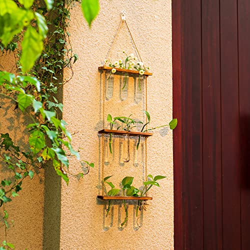 Hanging Glass Planter with Wooden Stand H815