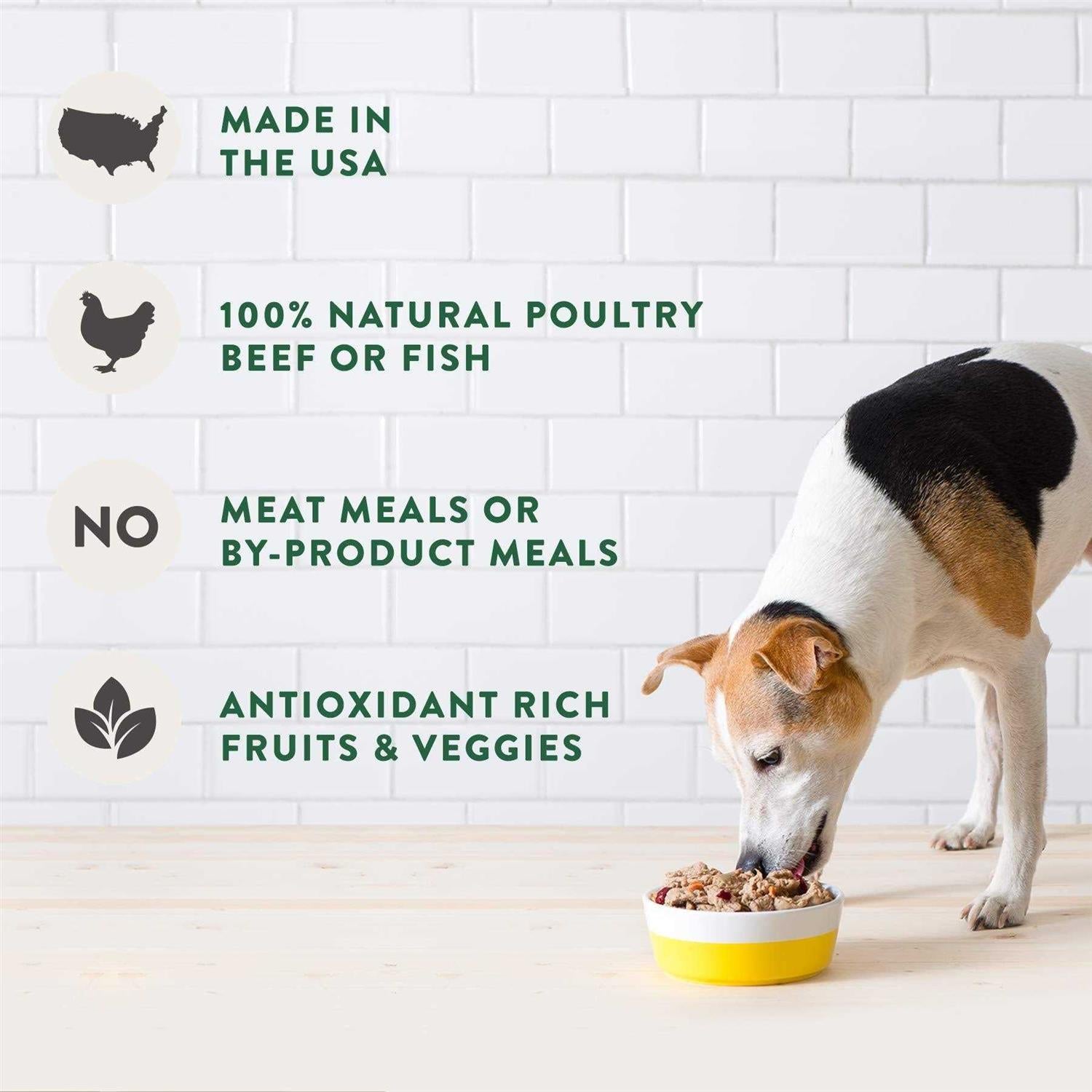 Fresh from the Kitchen Select Home Cooked Chicken Recipe Dog Food E58820
