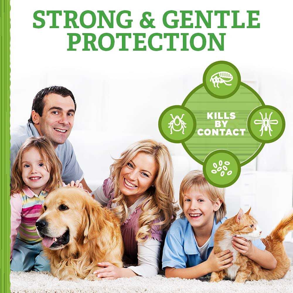 Flea and Tick Carpet Powder P3057