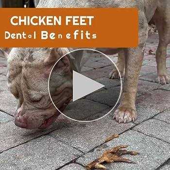 Chicken Feet Dog Treats I4541