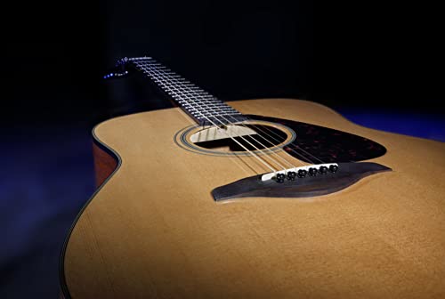 Natural Solid Top Acoustic Guitar P7501