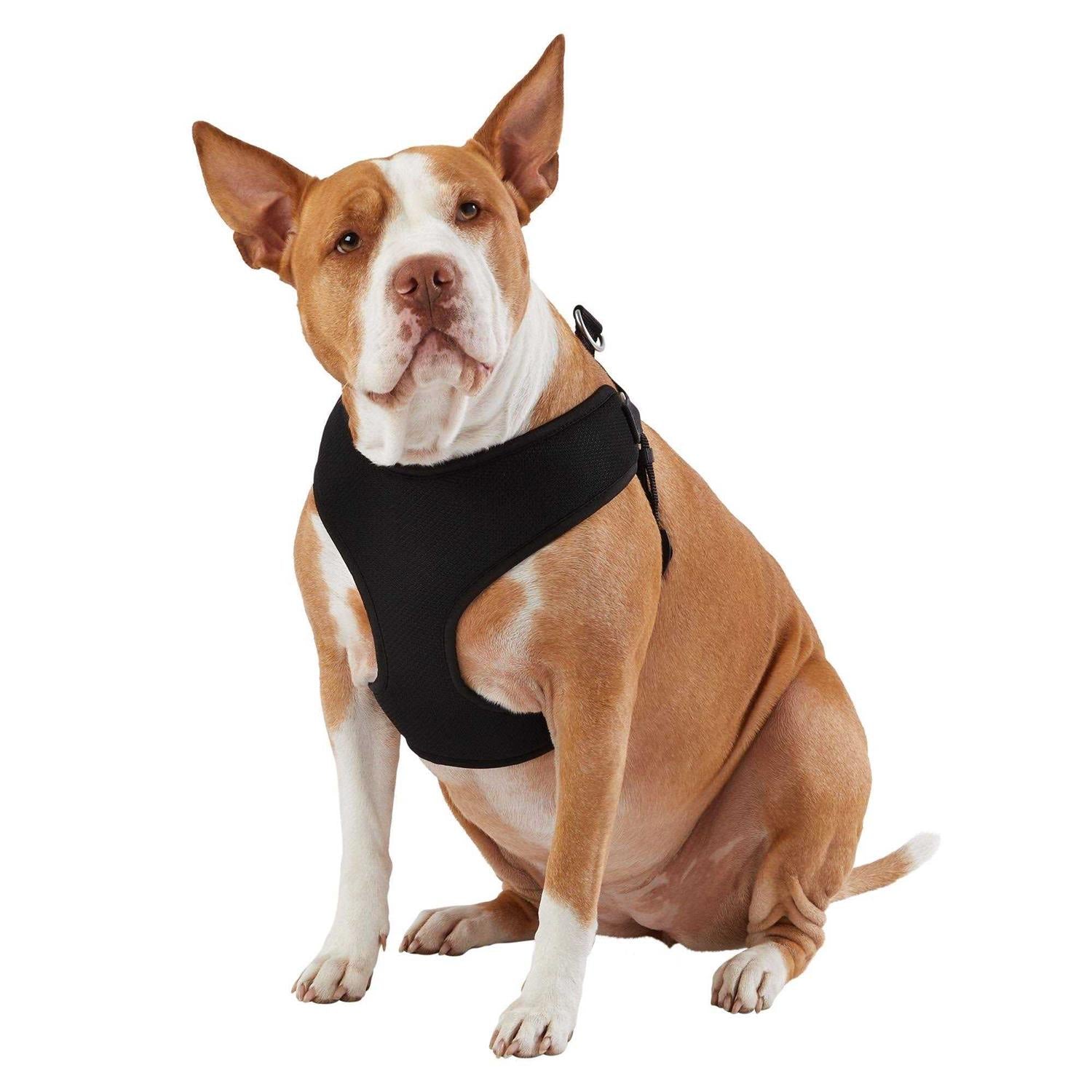Mesh Comfort Dog Harness Q2092