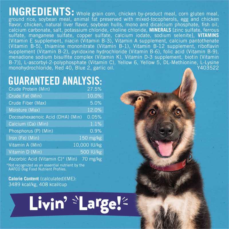 Large Breed Dry Puppy Food with Real Chicken H260