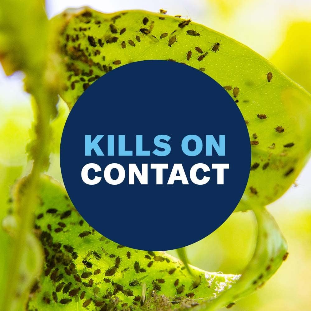 24 oz Houseplant Insect & Mite Control Q400