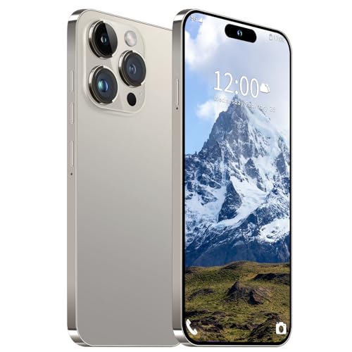 Unlocked Smartphone 6.8" HD Screen 6800mAh 6+256GB with 128GB Memory Card N329