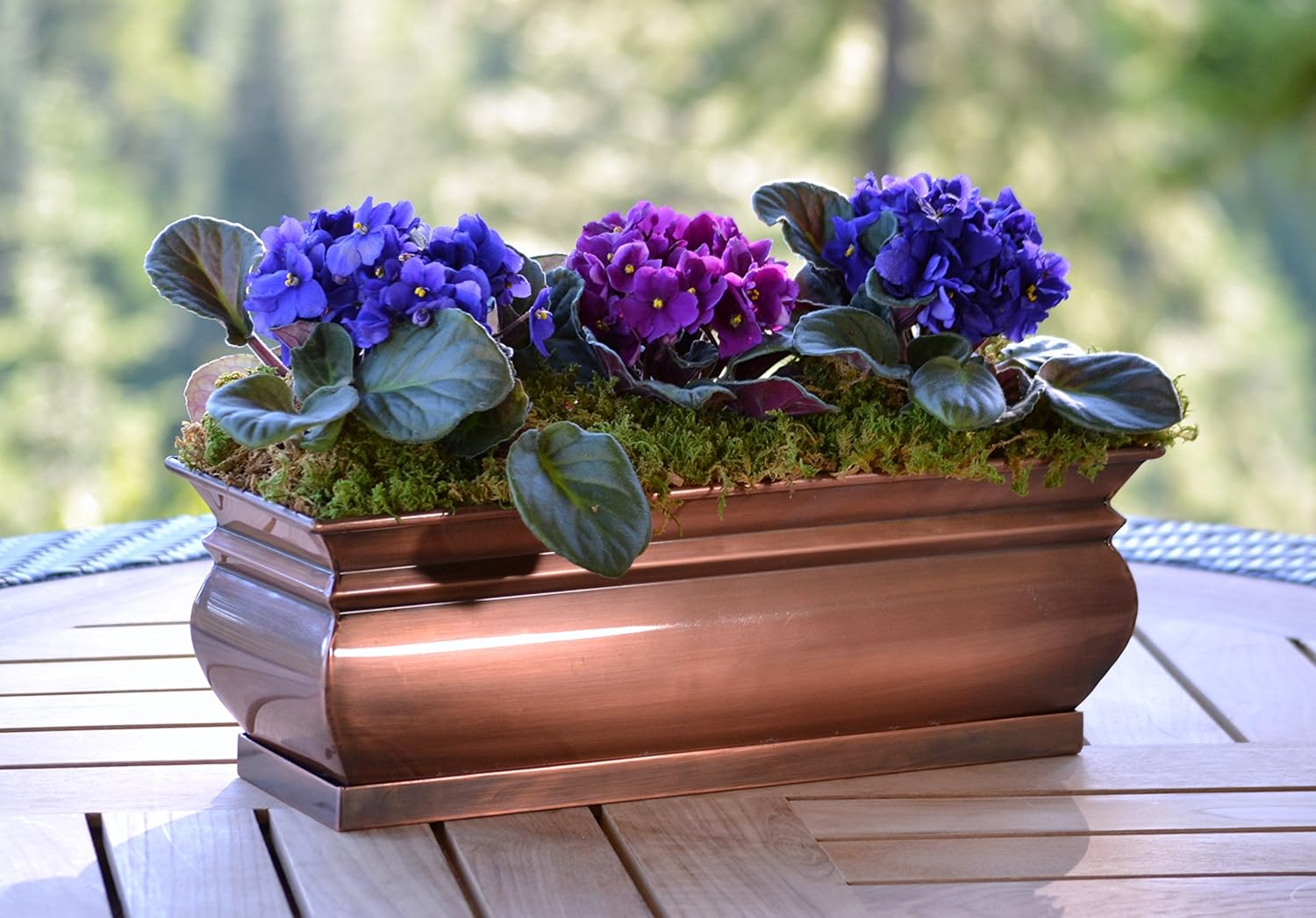 Rectangular Herb Planter Pots 16 x 6 x 5.75 Inches T8631