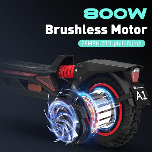 800W Electric Scooter with 10'' Honeycomb Solid Tires L6667
