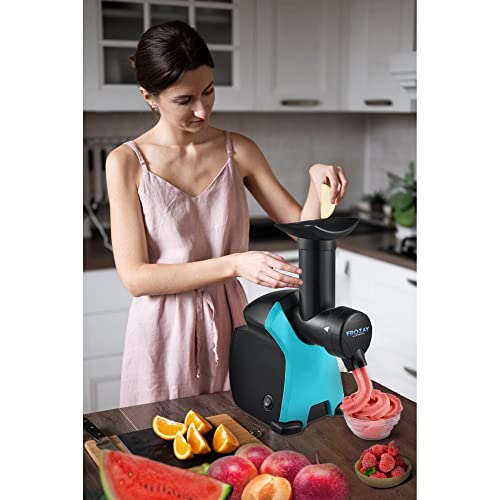 Frozen Dessert Maker D8348