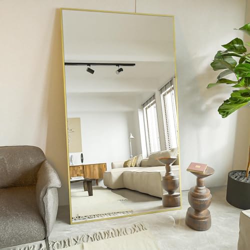 Black 65"x24" Full Length Mirror with Aluminum Alloy Frame X62059