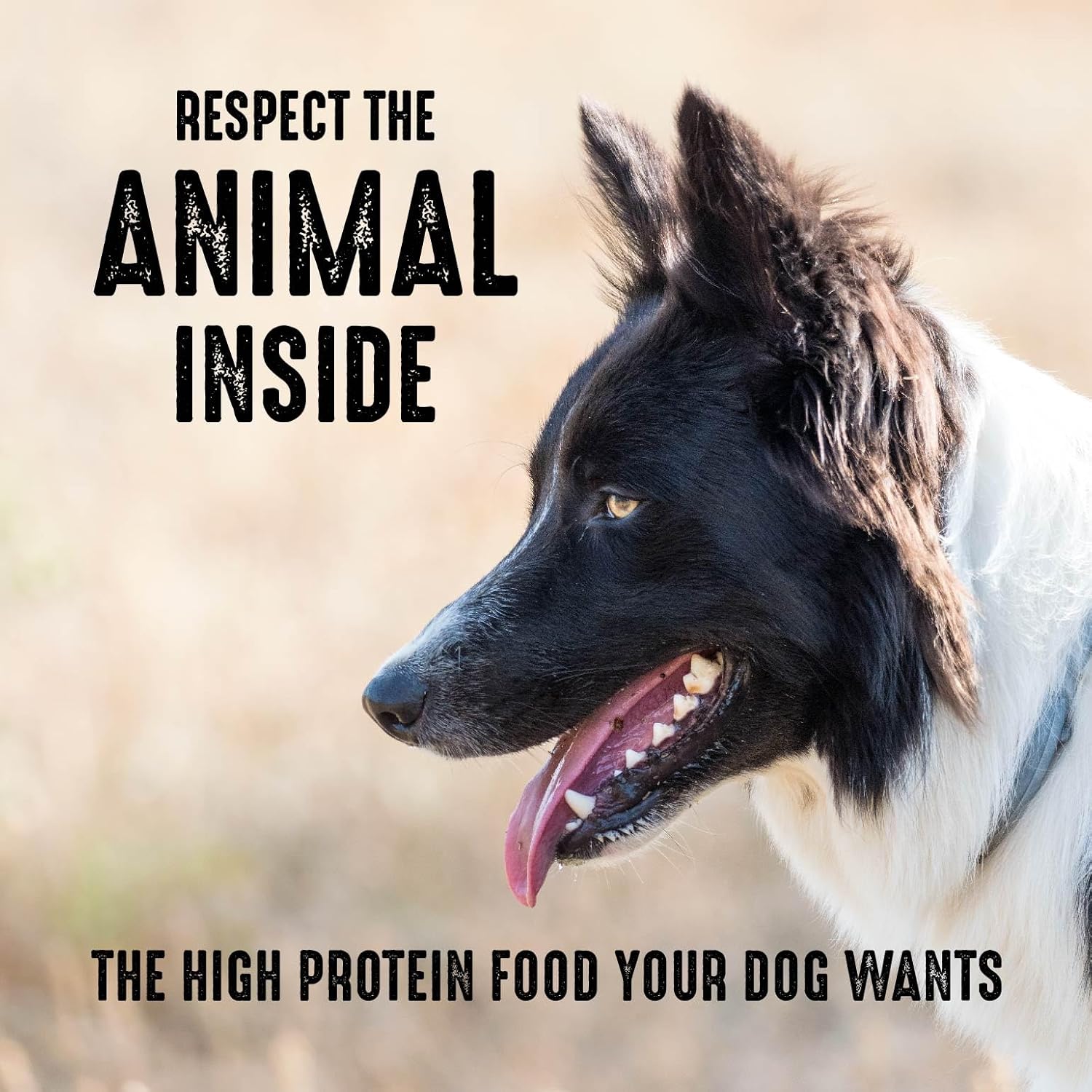 4 lb. Bag (Pack of 2) Grain Free Dry Dog Food N1458