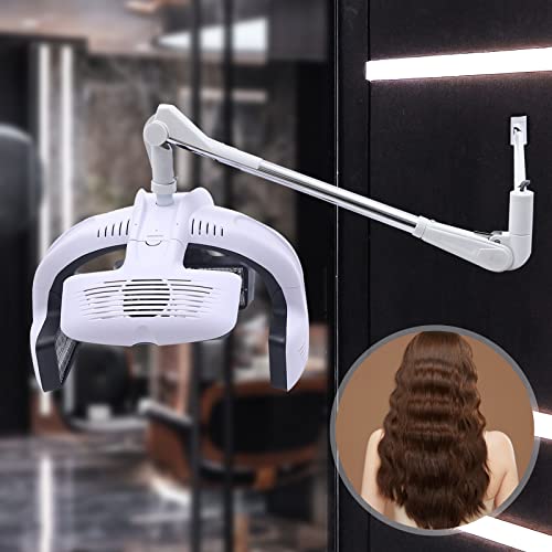 Wall Mounted Hair Dryer with Timer 110V 1250W V5517