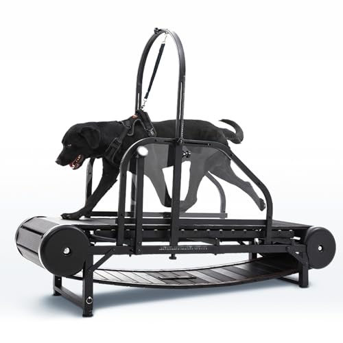 Non-Electric Dog Treadmill with Step Counter, Adjustable Incline & Brake W4740