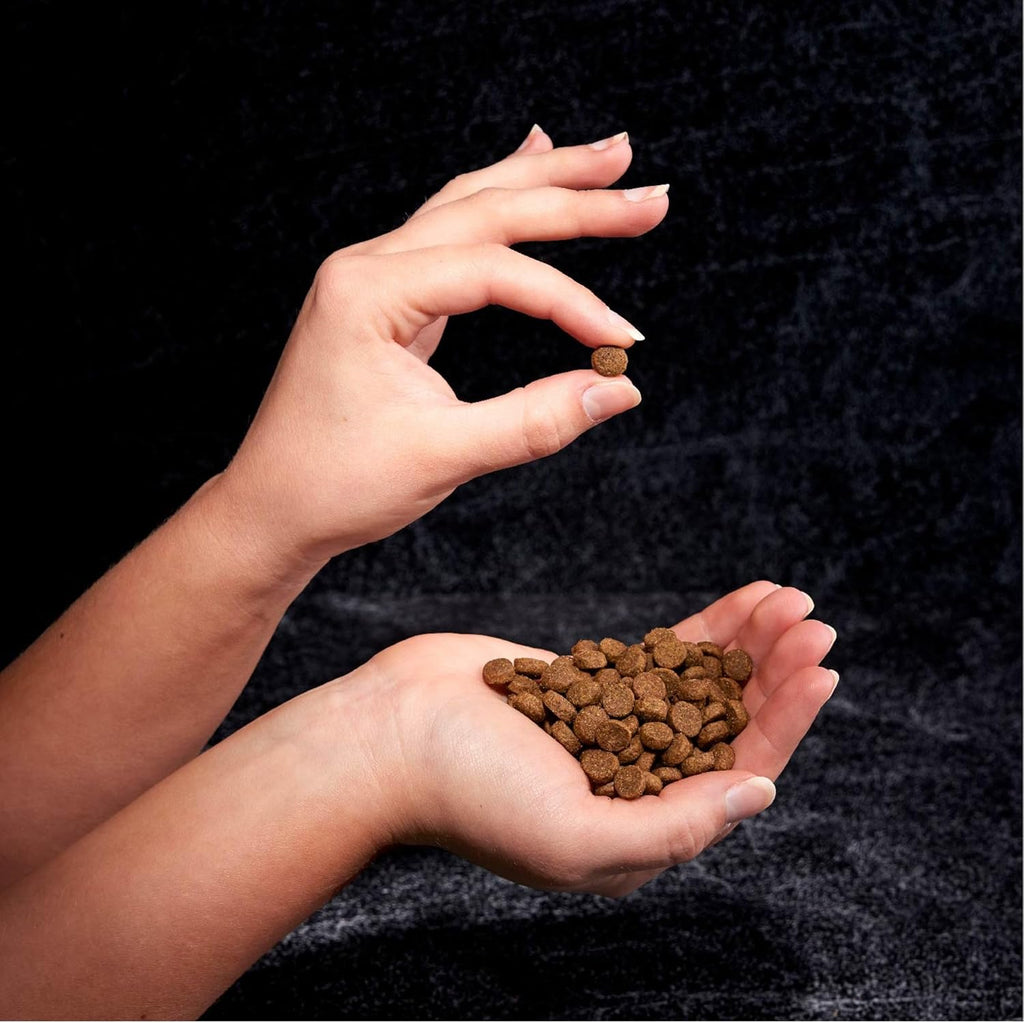4 lb. Bag (Pack of 2) Grain Free Dry Dog Food N1458