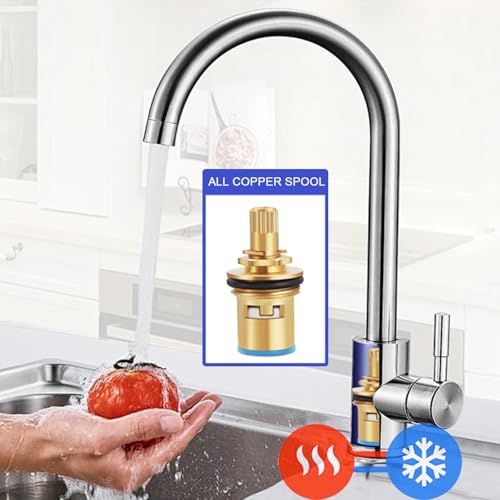 Stainless Steel Single Bowl Outdoor Utility Sink with Storage Shelves E263512
