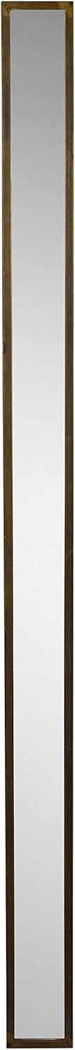 Rustic 60 in Tall Thin Decorative Metal Frame Accent Wall Mirror K1397
