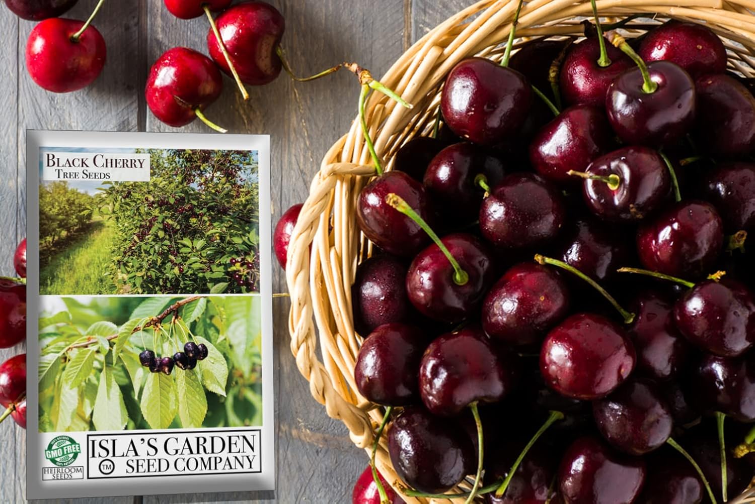 Black Cherry Fruit Tree Seeds, 25+ Seeds Per Packet, Non GMO Heirloom Seeds E17884