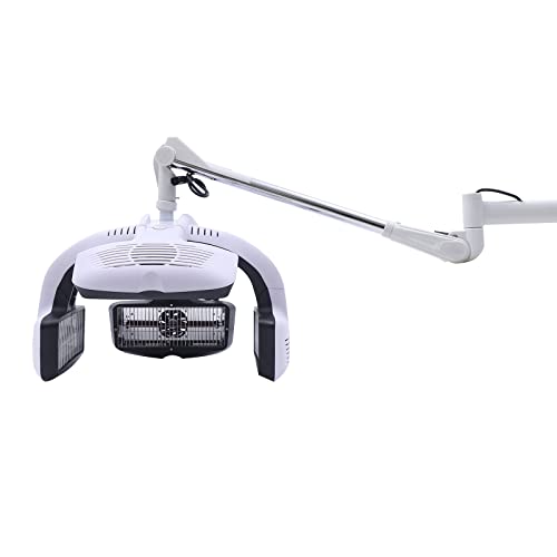 Wall Mounted Hair Dryer with Timer 110V 1250W V5517