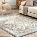 Charcoal 5x8 Stain Resistant Area Rug V7789