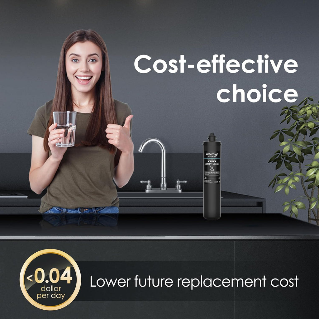 Under Sink Water Filter System and Replacement Filter Cartridge I613648