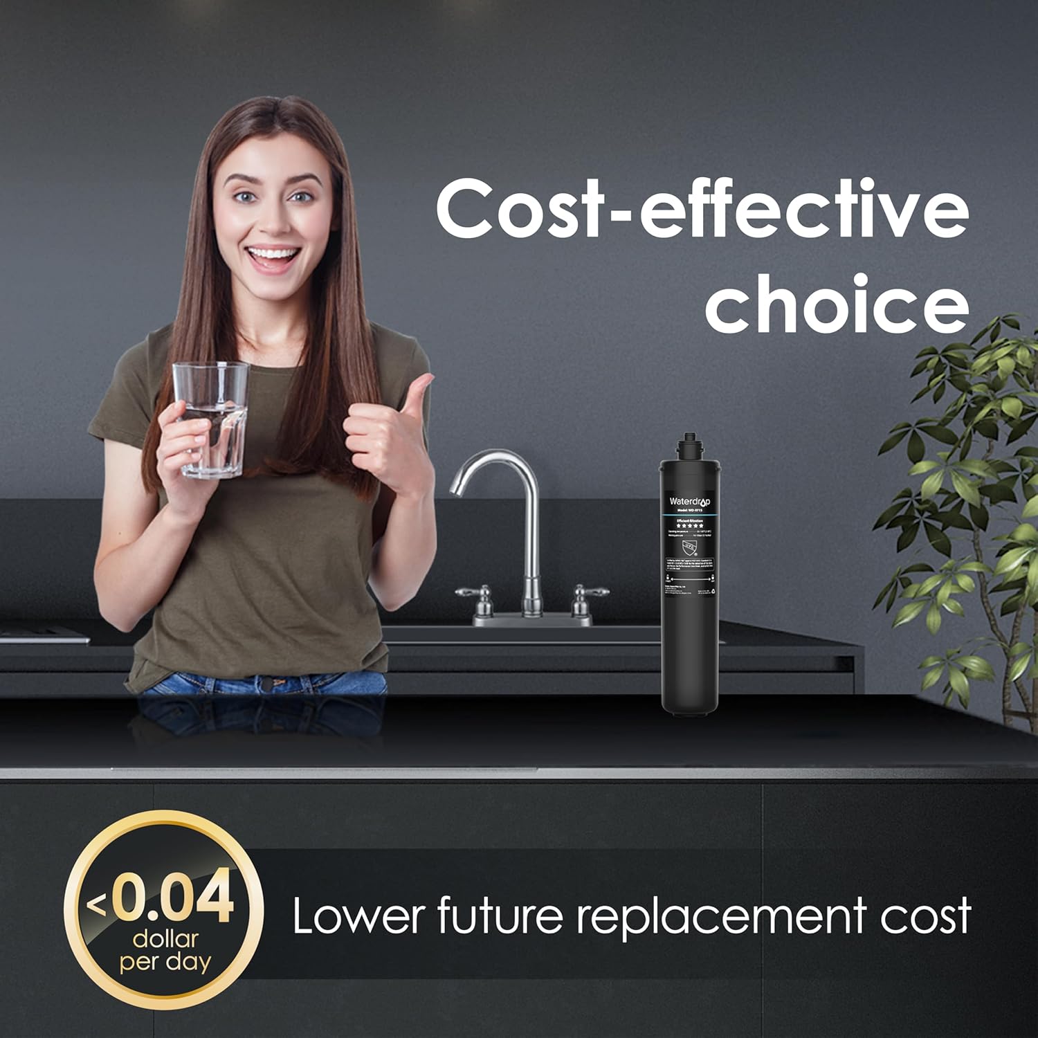 Under Sink Water Filter System and Replacement Filter Cartridge I613648