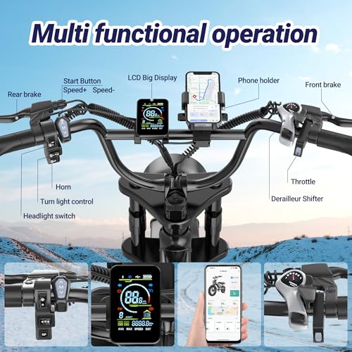 Electric Dirt Bike 750w 20" Full Suspension 48V 15.6AH Removable Battery 2 Seater Z21724