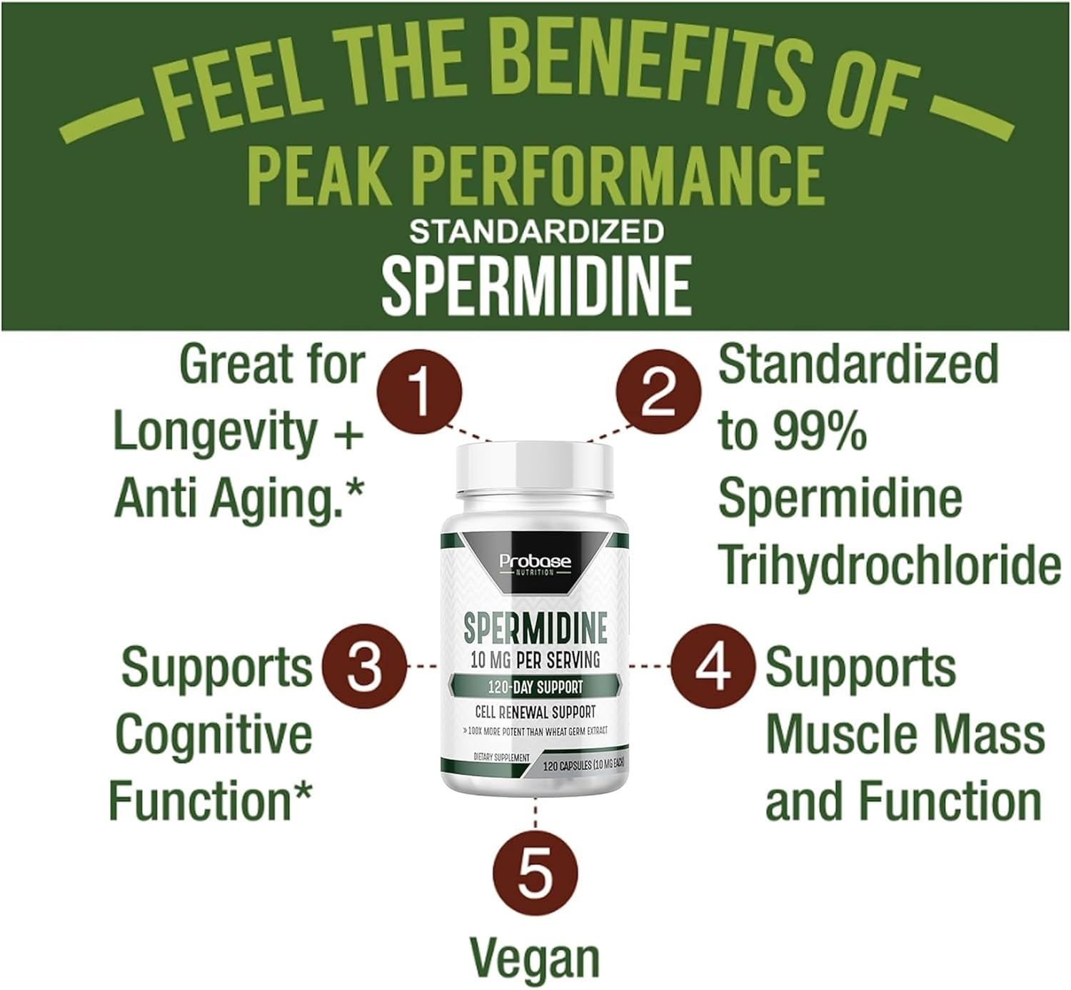 120 Capsules Spermidine W54253