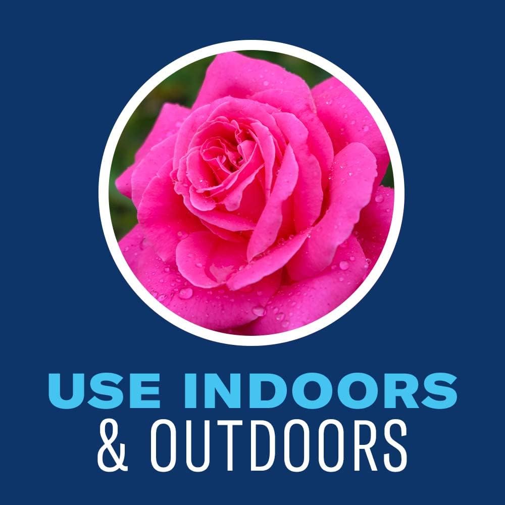 24 oz Houseplant Insect & Mite Control Q400