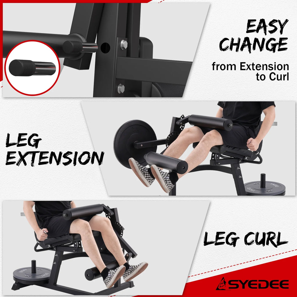 Adjustable Leg Extension and Curl Machine J8176