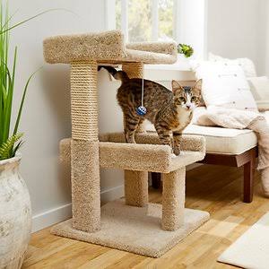 Beige Real Carpet Wooden Cat Tree D792995