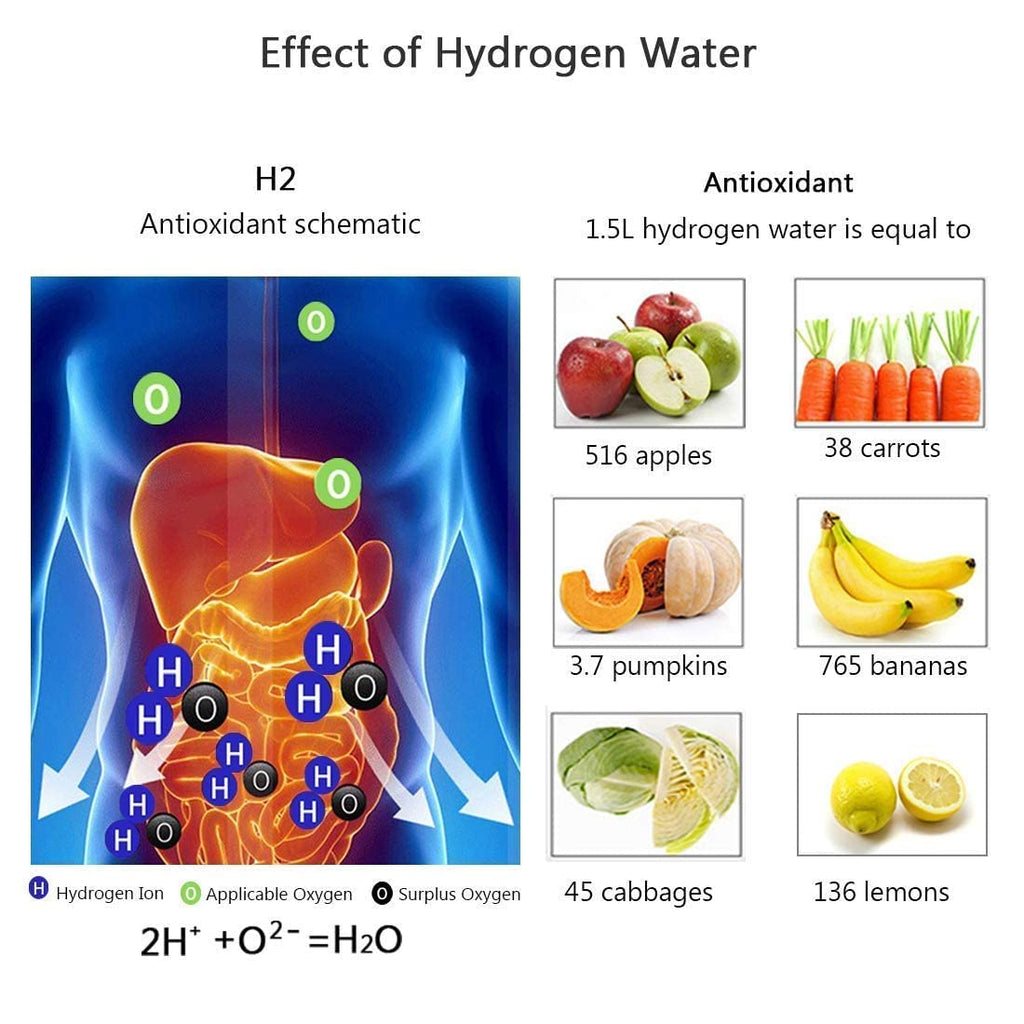Portable Hydrogen Water Bottle L127
