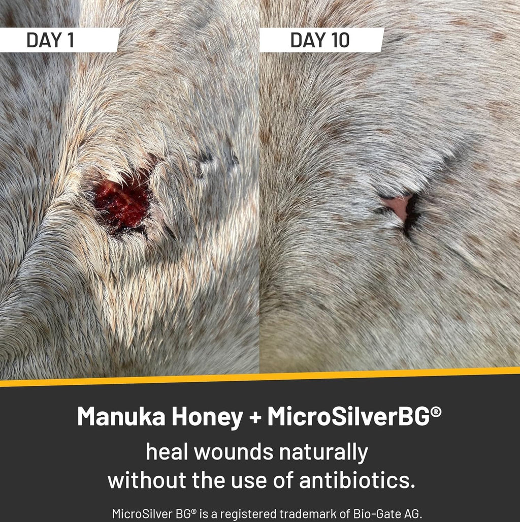 Medical Grade Manuka Honey & MicroSilver BG Wound Repair Spray Gel Twin Pack 8oz Bottles P7492