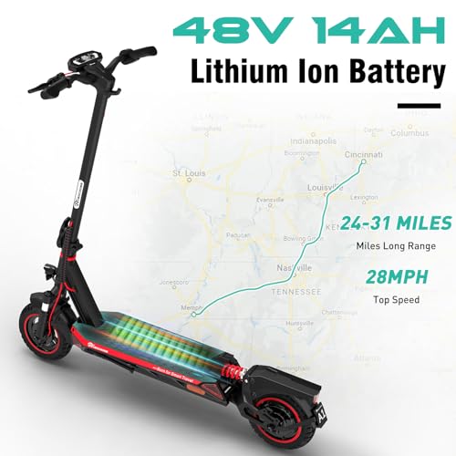 800W Electric Scooter with 10'' Honeycomb Solid Tires L6667