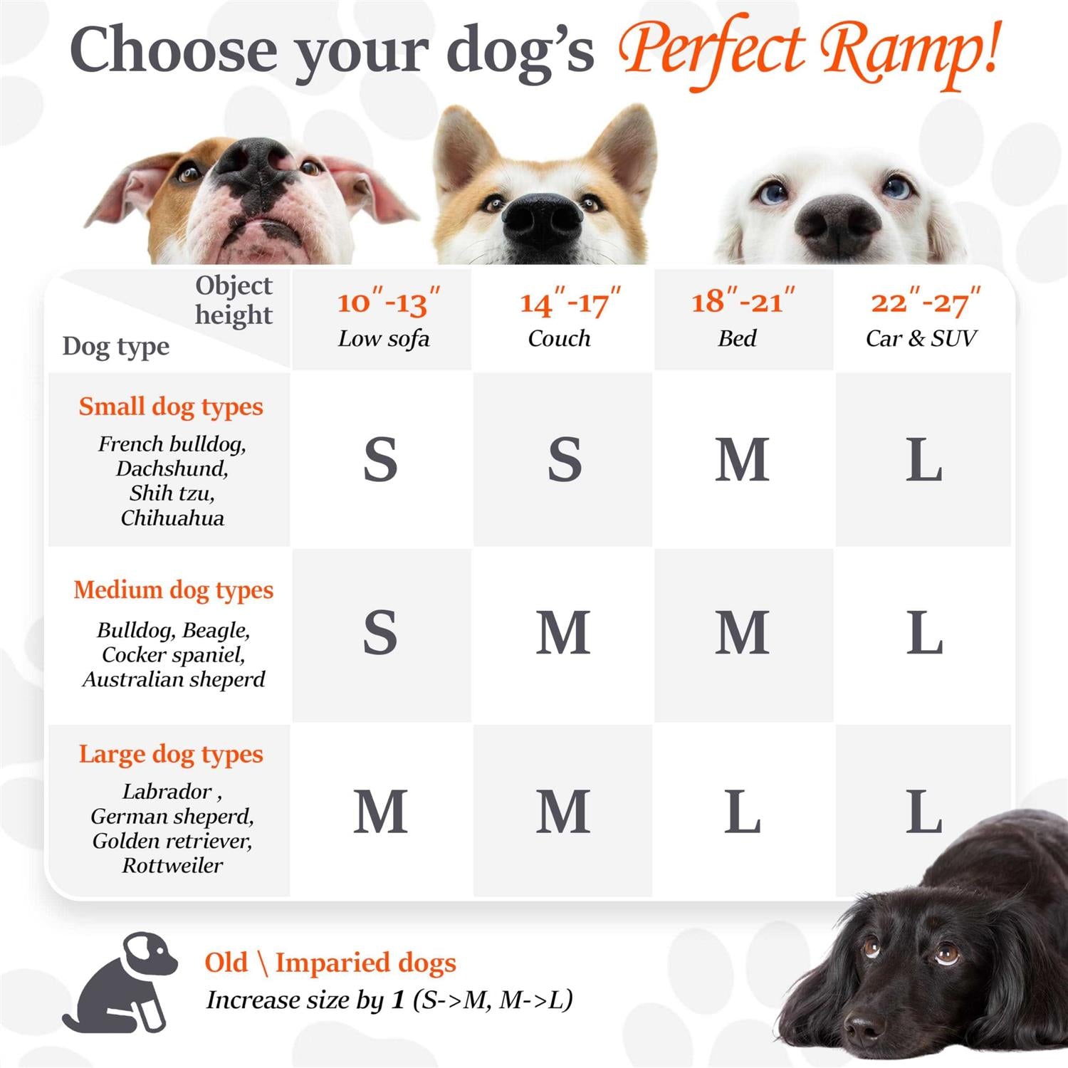 Portable Dog Ramp for Dogs V661558