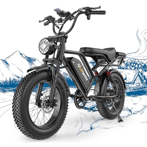 Electric Dirt Bike 750w 20" Full Suspension 48V 15.6AH Removable Battery 2 Seater Z21724