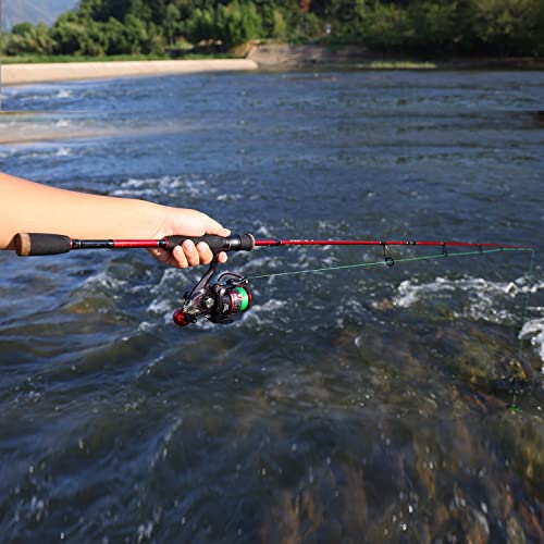 Medium Fishing Rod and Reel Combo with Spinning Reel S293