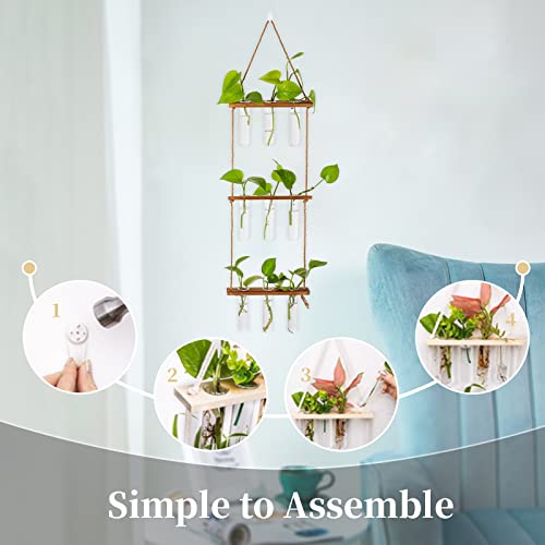 Hanging Glass Planter with Wooden Stand H815